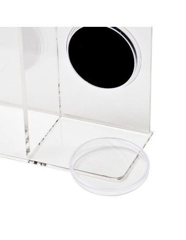 GW Acrylic Loose Action Figure & Coin Dual Display Case - Groß 3,75-inch AFC-009